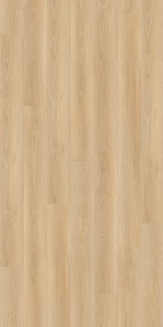 Larch